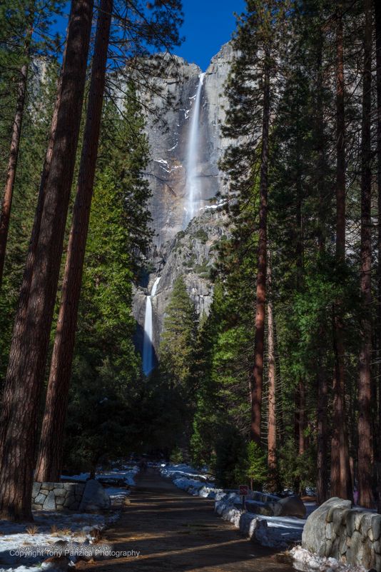 Yosemite falls in Winter