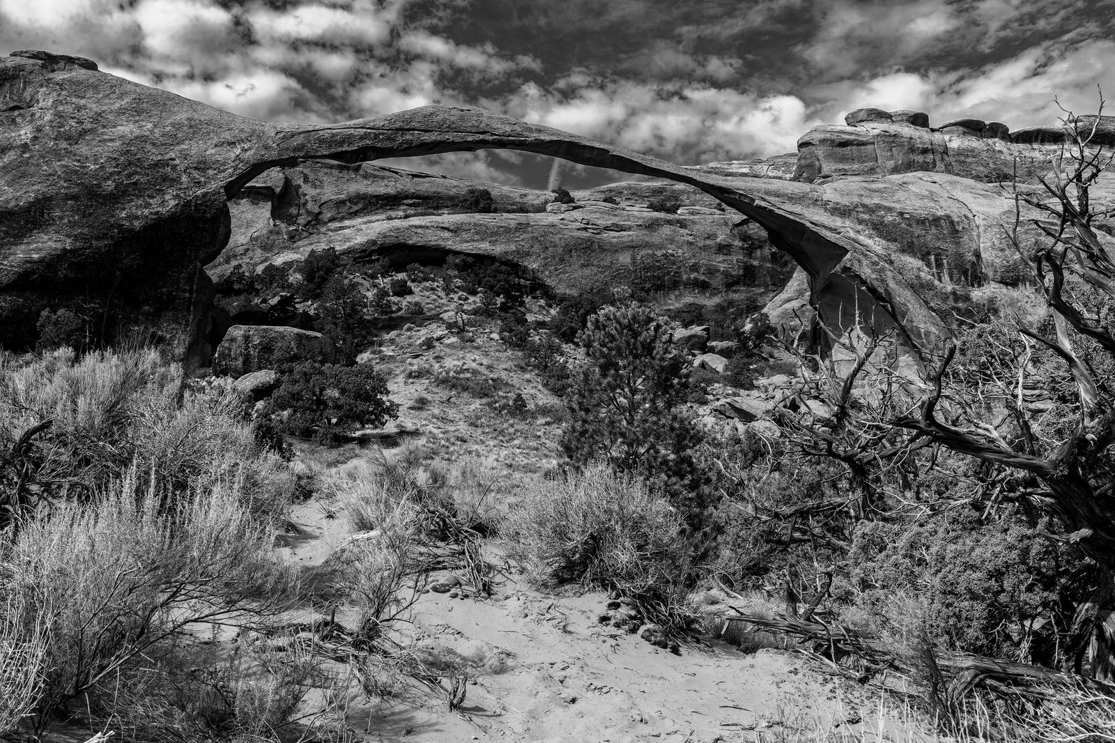 LandScape Arch, 30x20 BW, 1DX_0627 copy.jpg