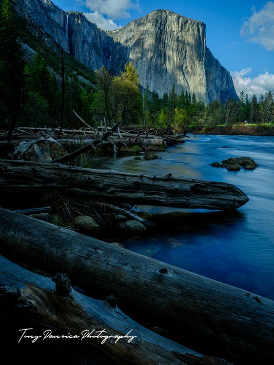 El Capitan and Driftwood