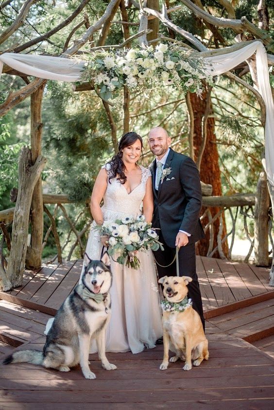 Dogs Say I do