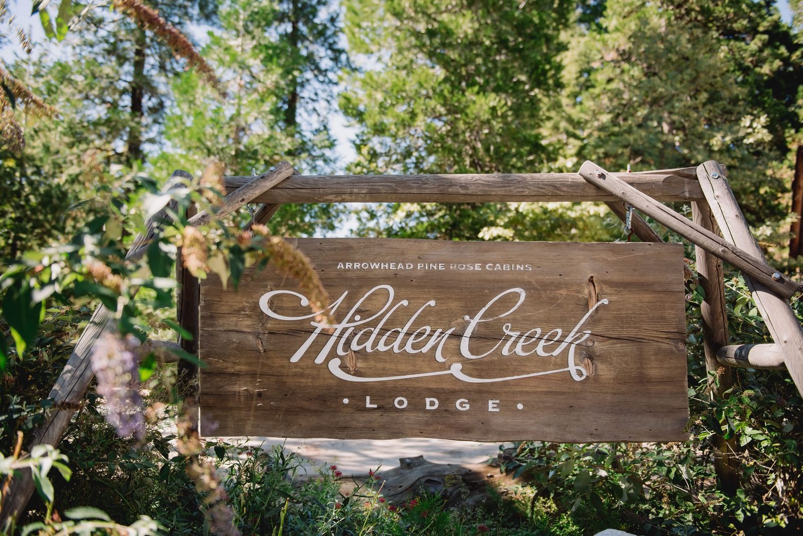 Copy of _D7C42191.jpg