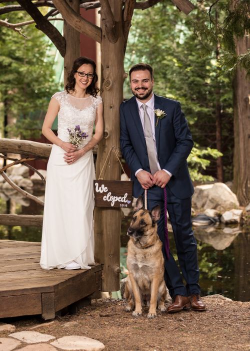 Cedar Creek Elopement by the pond with dog Cedar Creek Elopement