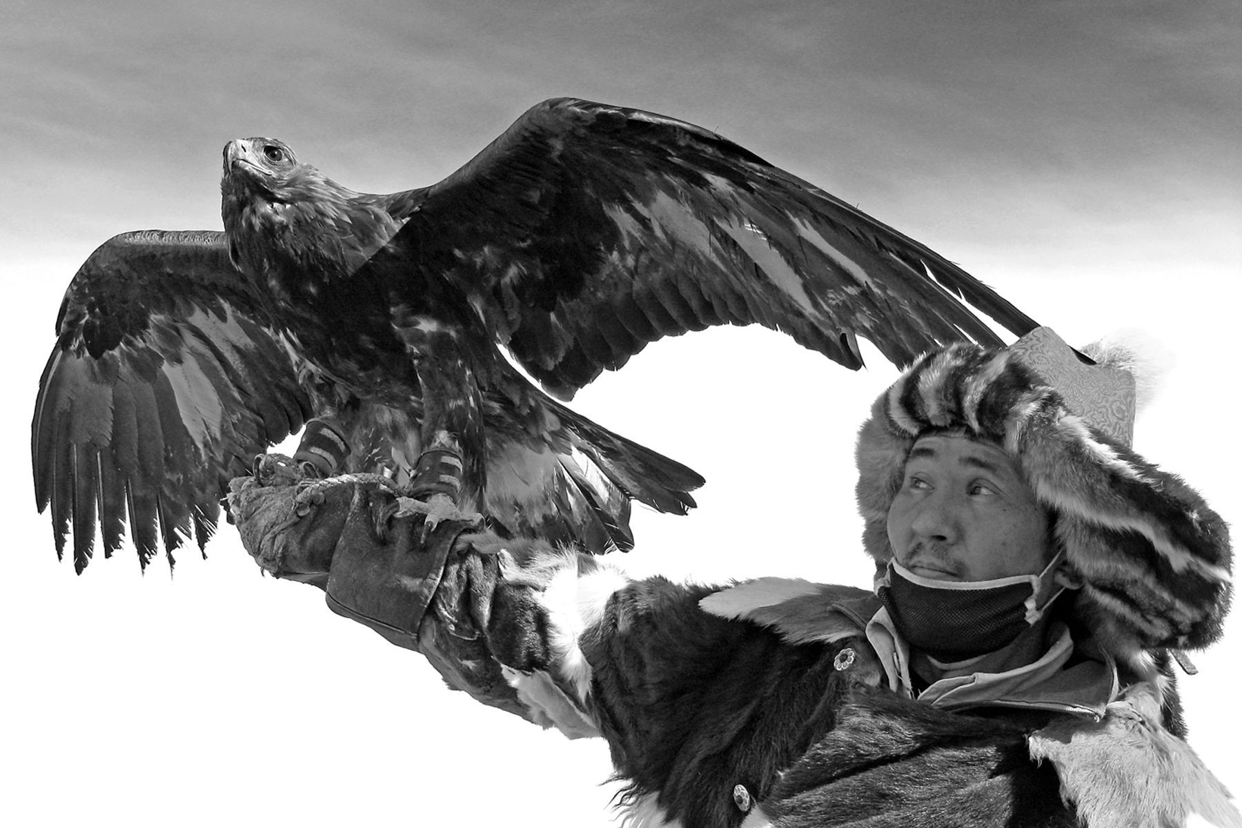 1eagle_hunter_7a.jpg