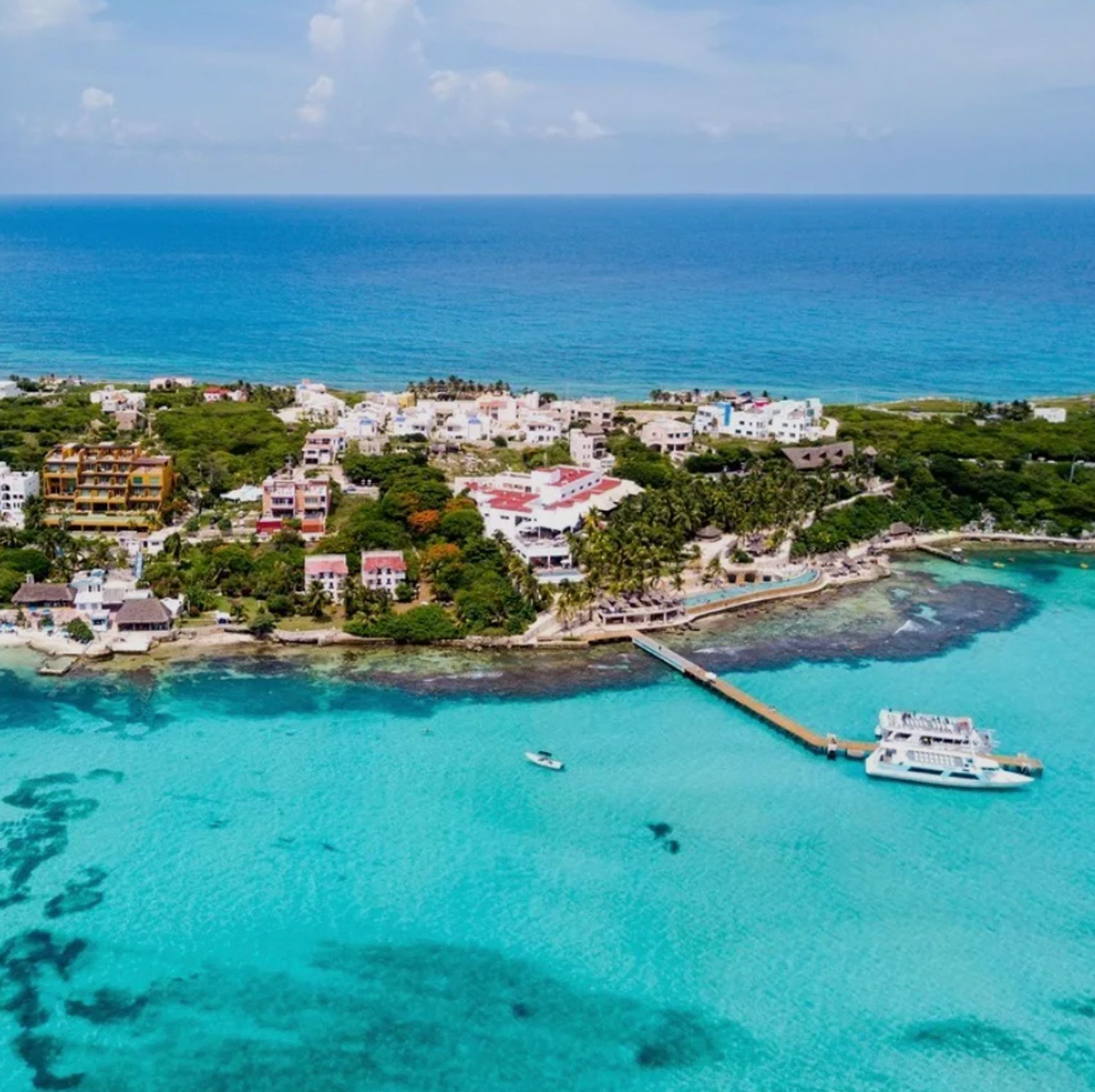 Screenshot 2026-01-19 at 3.34.11%E2%80%AFAM.jpg