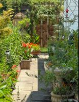 Screenshot 2025-12-25 at 12.25.37%E2%80%AFAM.jpg