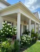 Screenshot 2025-12-25 at 12.26.21%E2%80%AFAM.jpg