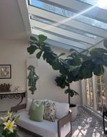 Screenshot 2025-12-25 at 2.46.22%E2%80%AFAM.jpg