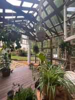 Screenshot 2026-03-21 at 11.14.35%E2%80%AFPM.jpg