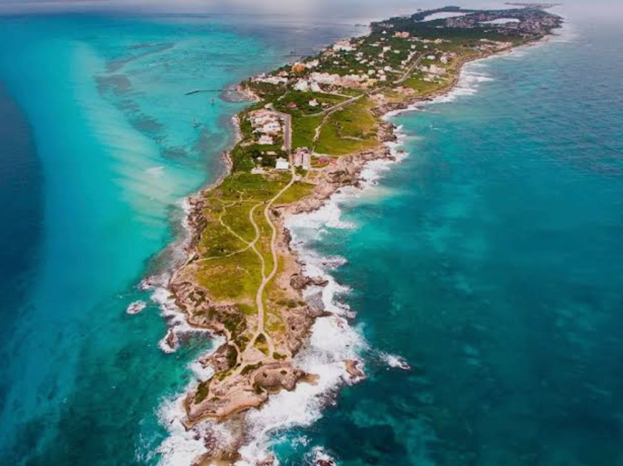 Screenshot 2026-01-19 at 3.20.42%E2%80%AFAM_1.jpg