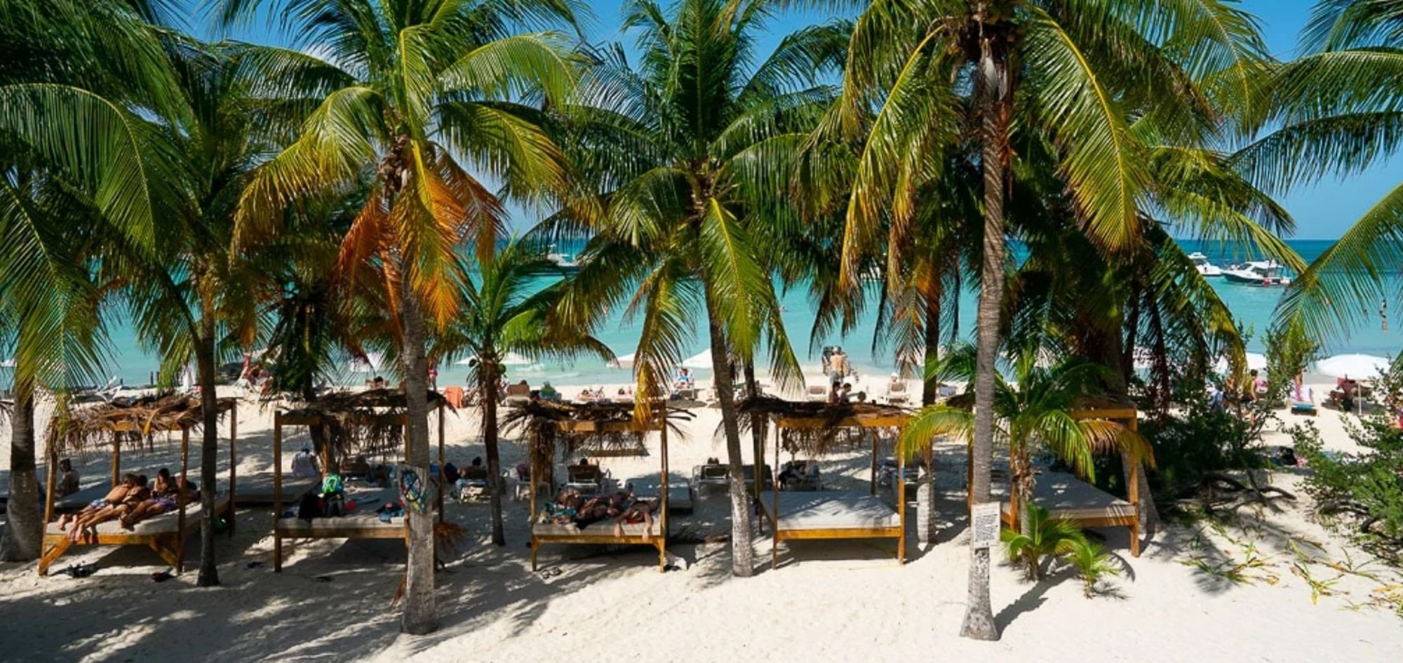 Screenshot 2026-01-19 at 3.25.51%E2%80%AFAM.jpg