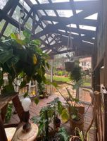 Screenshot 2026-03-21 at 11.14.26%E2%80%AFPM.jpg