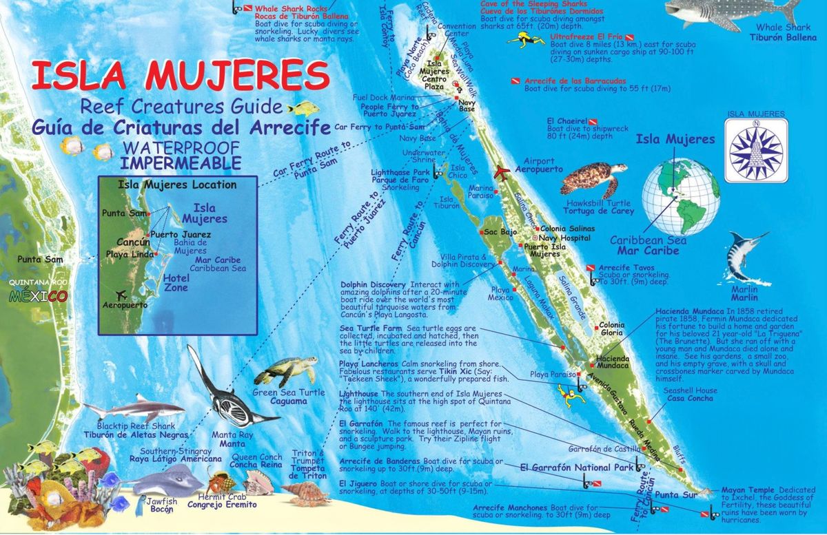 Screenshot 2026-01-19 at 5.05.05%E2%80%AFAM.jpg