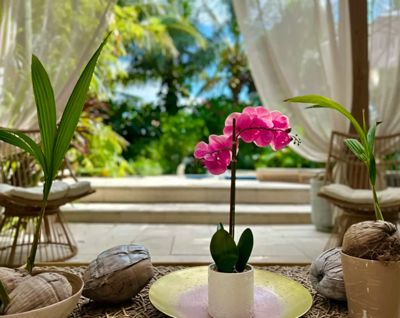 Screenshot 2025-09-07 at 2.48.48%E2%80%AFPM.jpg