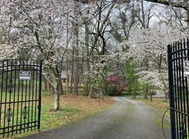 33-cipresso-castle-decatur-tree-lined-gated-driveway.jpg