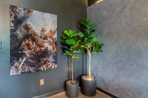 Screenshot 2025-12-25 at 4.20.27%E2%80%AFAM.jpg