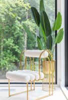 Screenshot 2025-12-25 at 12.44.29%E2%80%AFAM.jpg