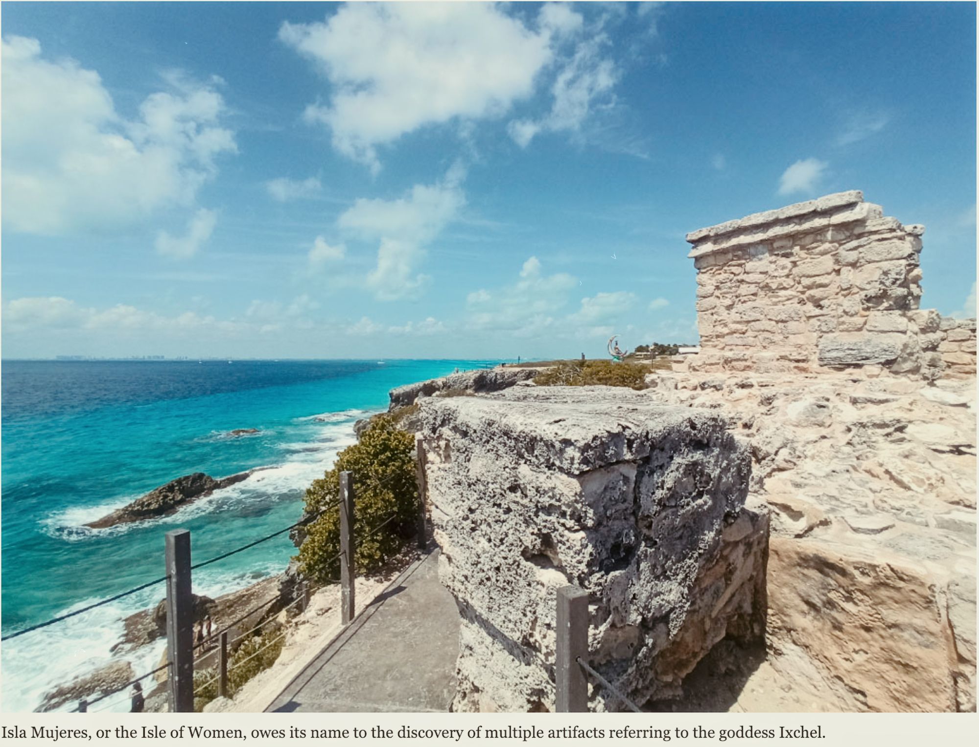 Screenshot 2026-01-19 at 3.37.49%E2%80%AFAM.jpg