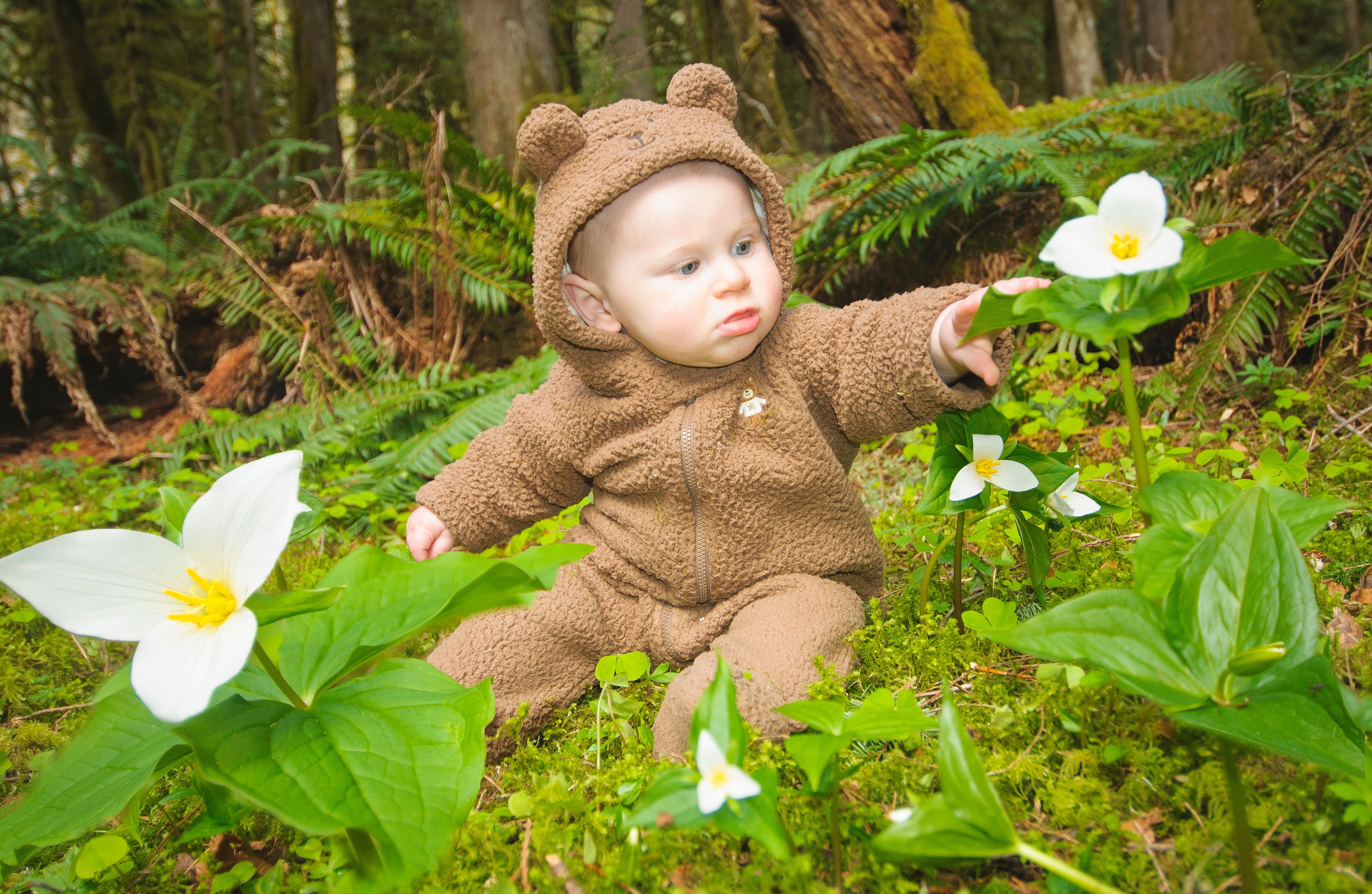 Baby in a Bearsuit in the Forest