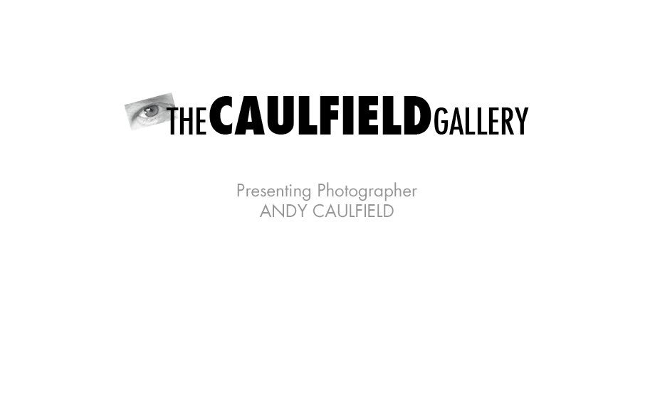 011217081144_1thecaulfieldgallery_2017.jpg