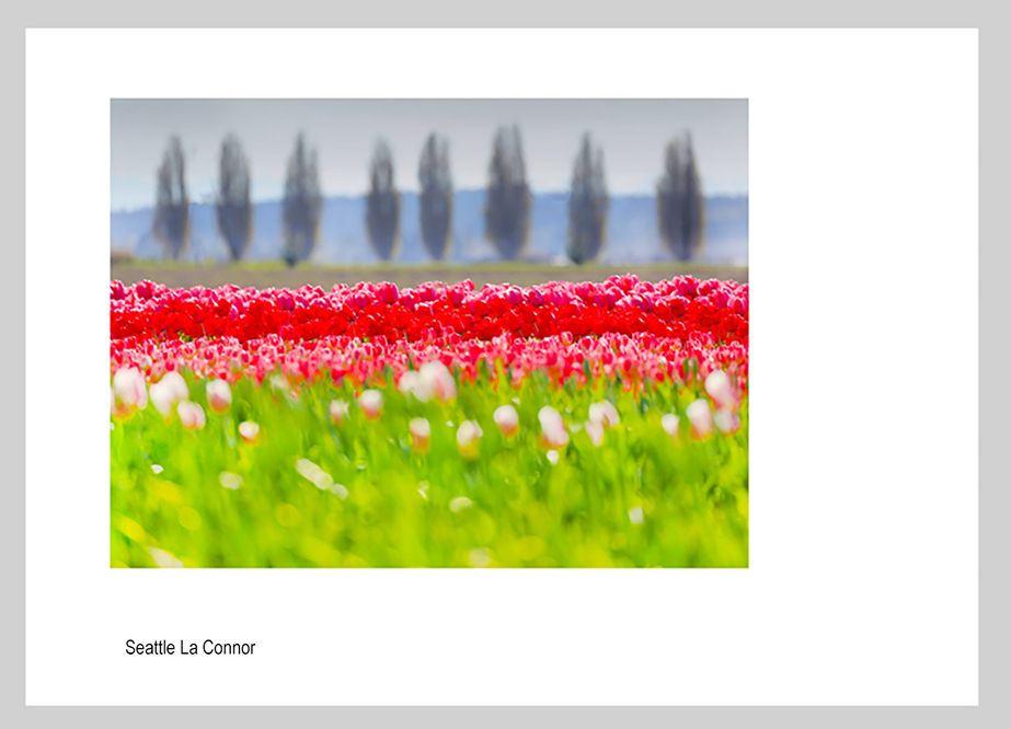 mail two lips 9830.jpg