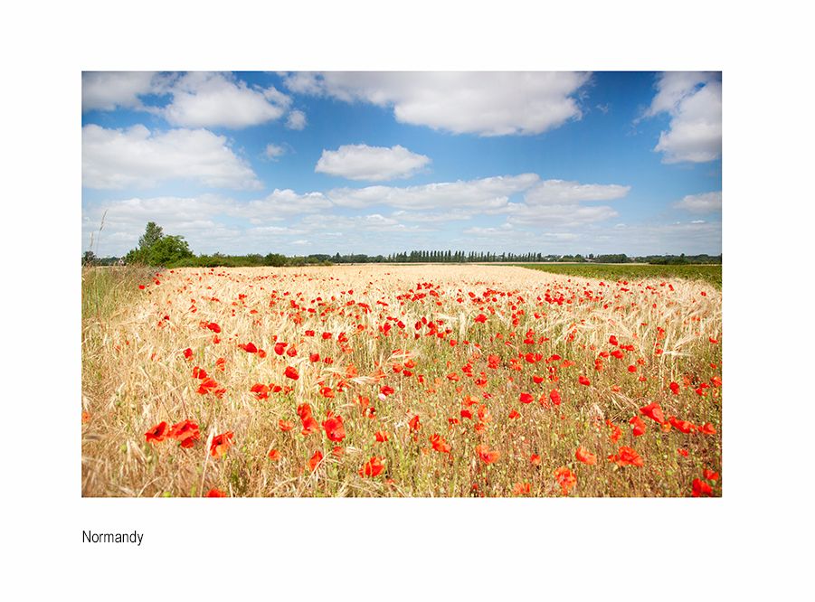 zzzzIMGoff _9387 1.jpg