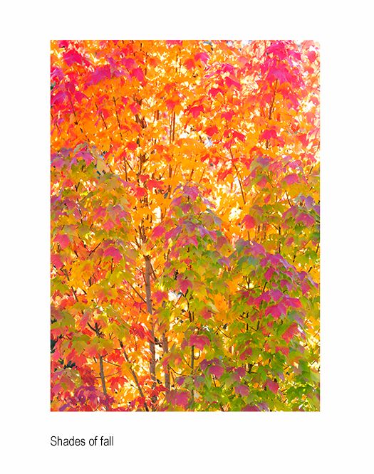 zzzzada s2L0A1921_1.jpg