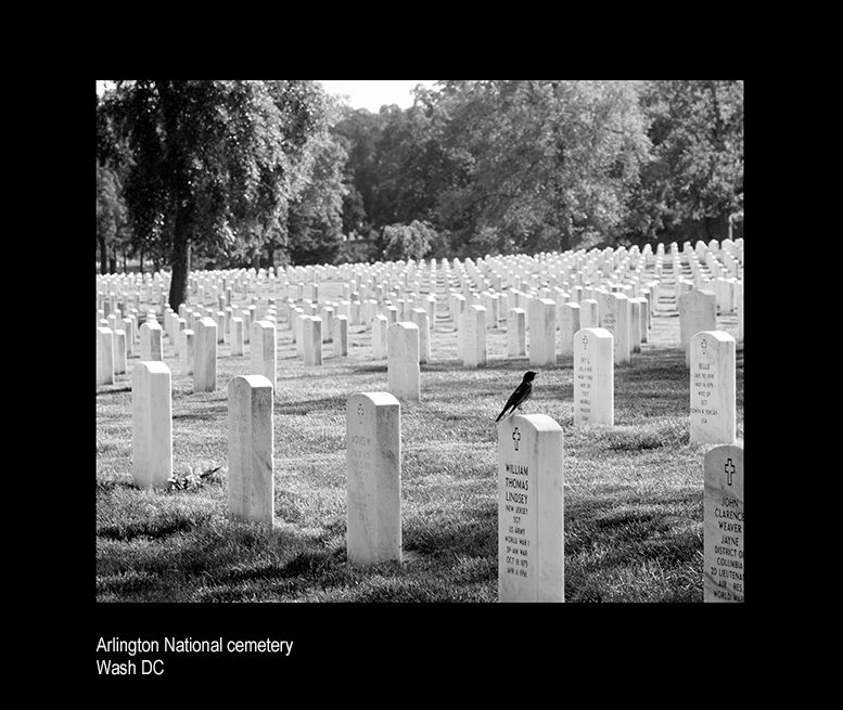 zzzzzrlington memorial s.jpg