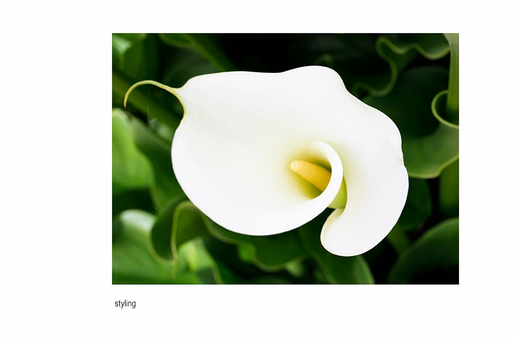 zzznal aa  one. .jpg