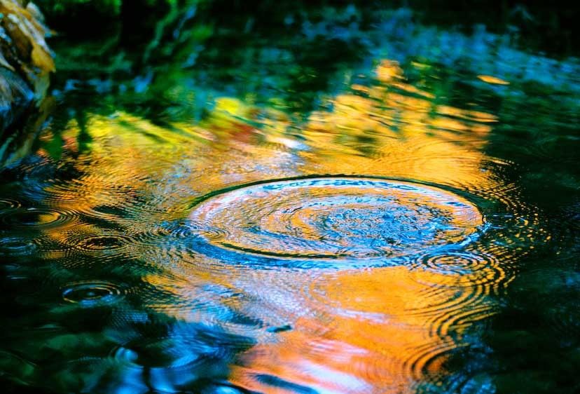 1Canada_BC_fall_colors_16x24