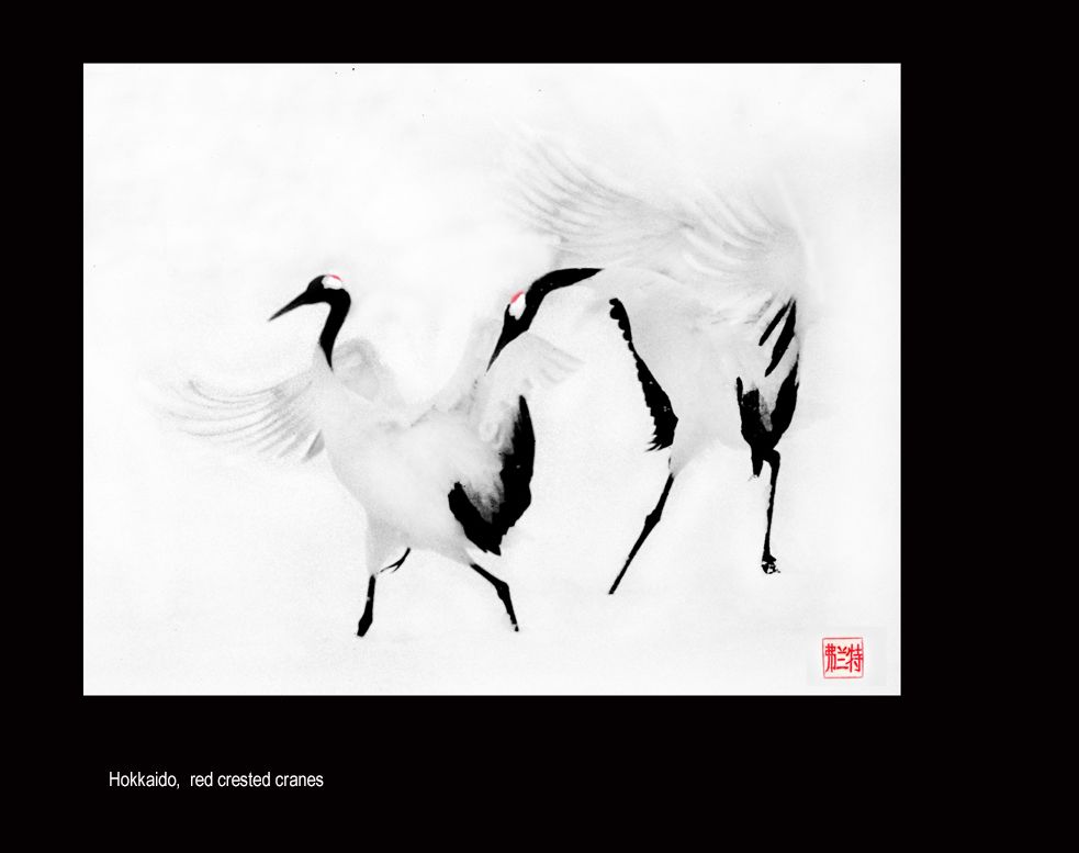 mail an mini print aaaa titled-1.jpg