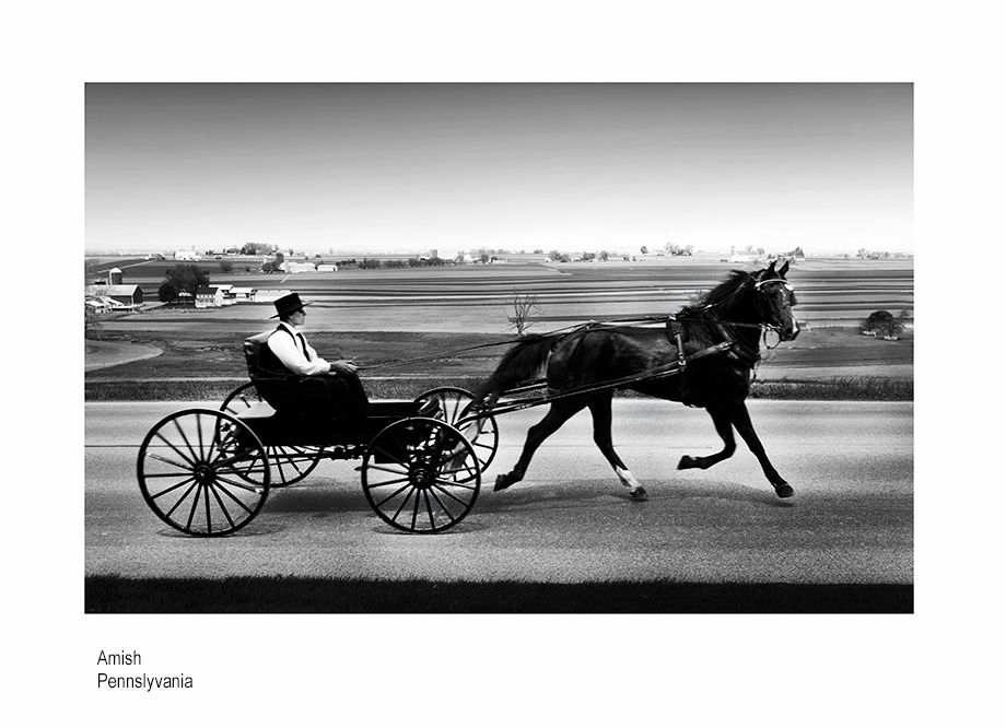 aaaaaa  finalA2940.jpg