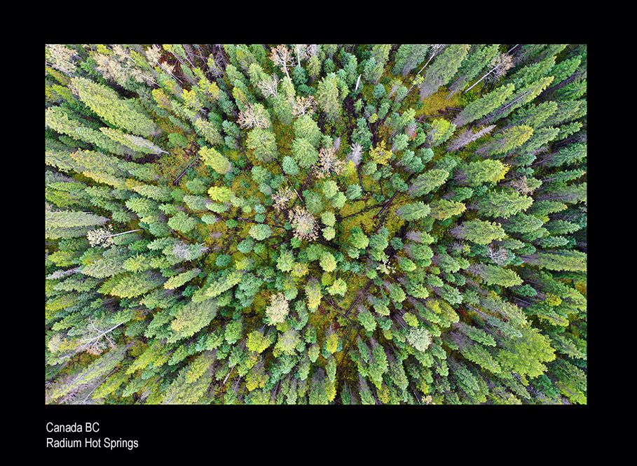 mailospsospos9s 316.jpg