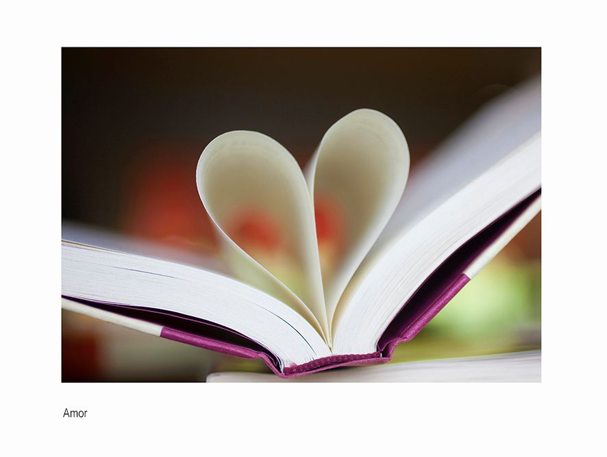 aaaacanada _4x6 9392.jpg