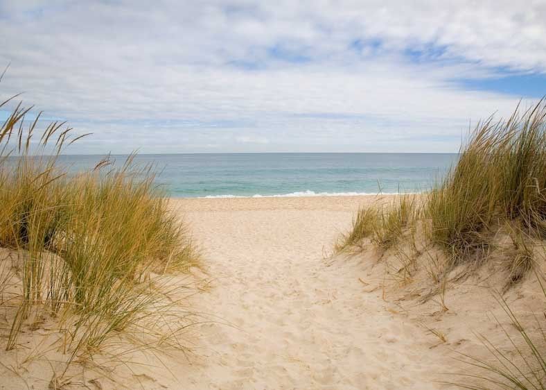 1Australia_Melbourne_pathway_3