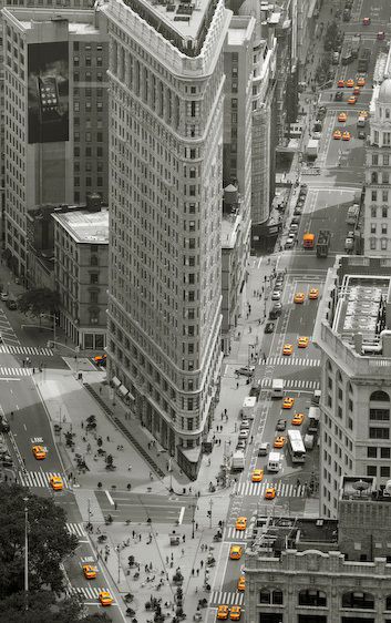 1IMG_6727_yellow_subs