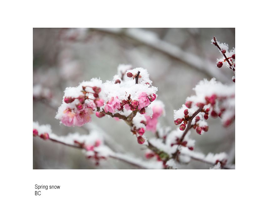 aaaaaada svscsvxd 0535.jpg