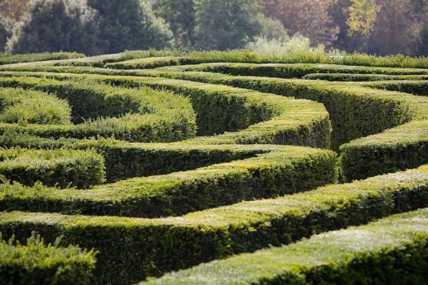 1England_maze