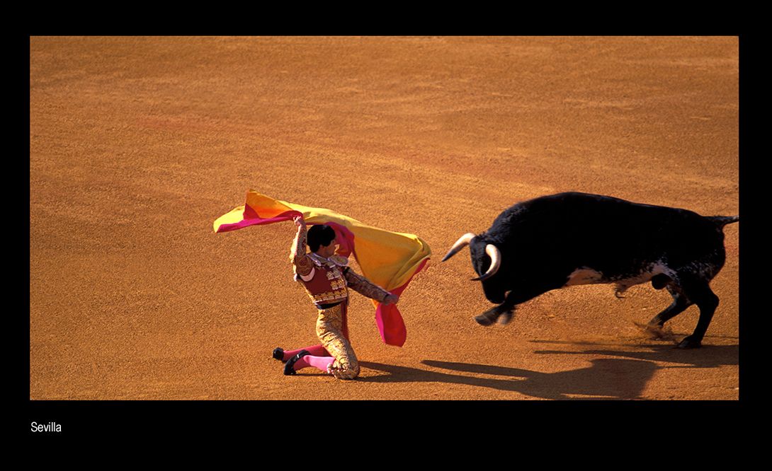 uuuubull fighter idiot 2.jpg