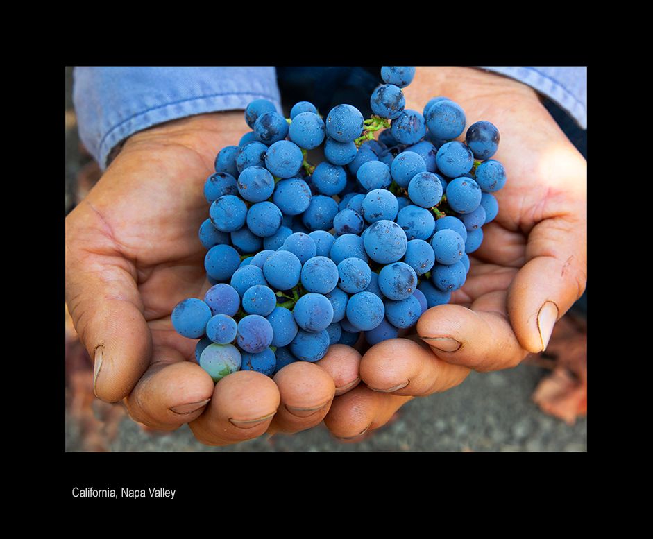 mailaaa  nappa valley gr.jpg