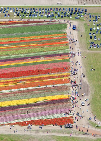 1usa_washington_9570_2