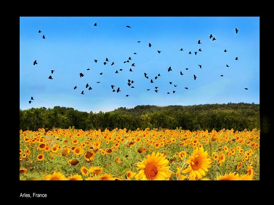 aaaammme ges-118785102-2048x2048.jpg