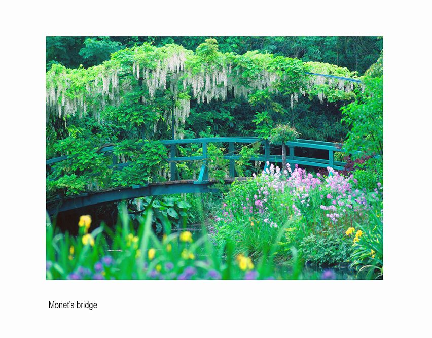 zzznce Giverny 2.jpg