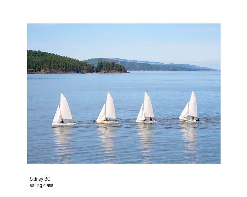 aaaaaacanada sidney.jpg