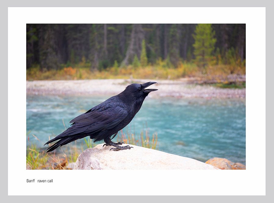 webshsns ala w0012.jpg