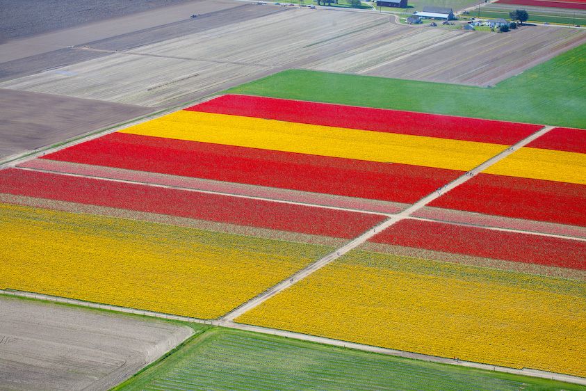 1usa_washington__9616_2