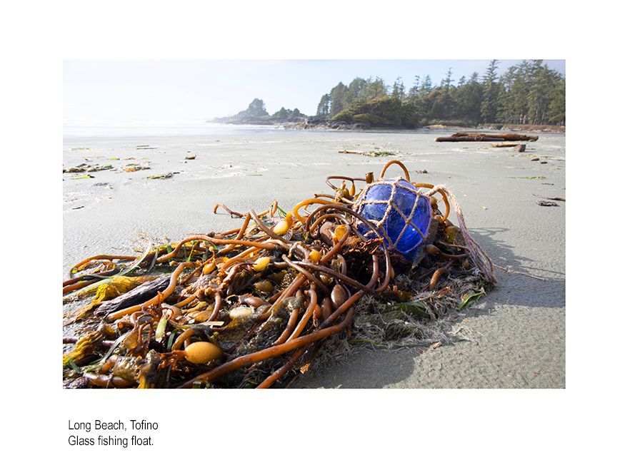 aaaaaaacanada finalss.jpg