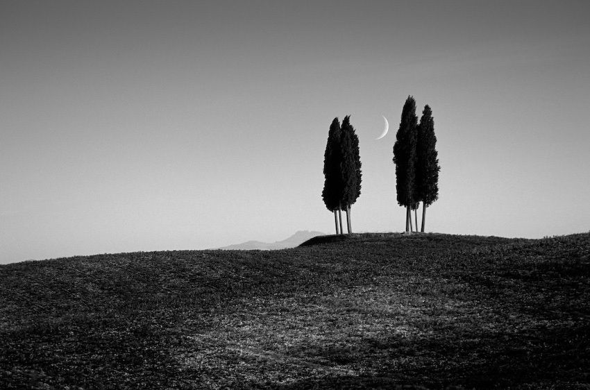 1Italy_Toscany_trees