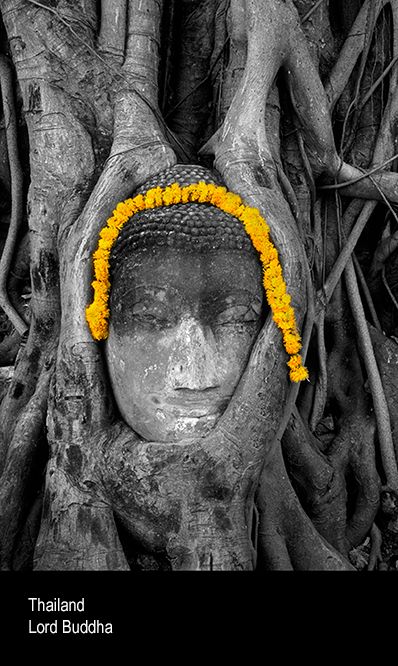 uuuand Attuyata buddha 22221.jpg