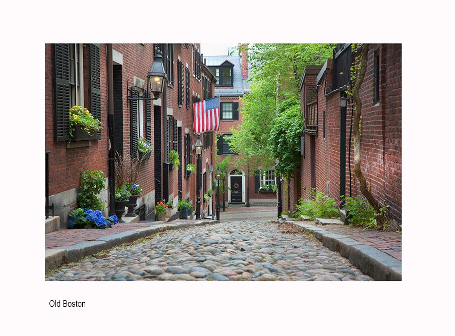 aaaa BOSTON eHOz3482.jpg