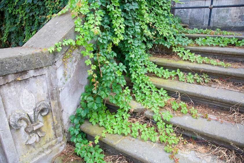 1Italy_Roman_forum_steps